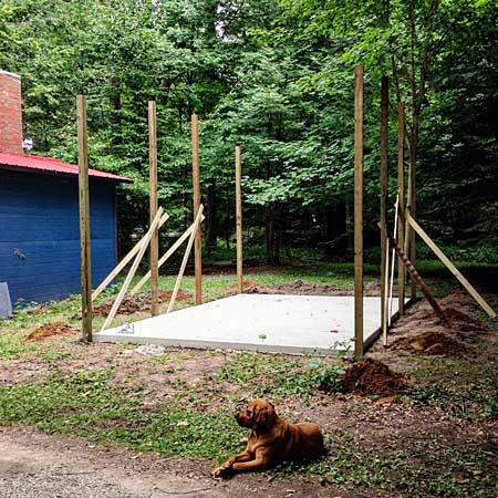 Shed posts and Jennie