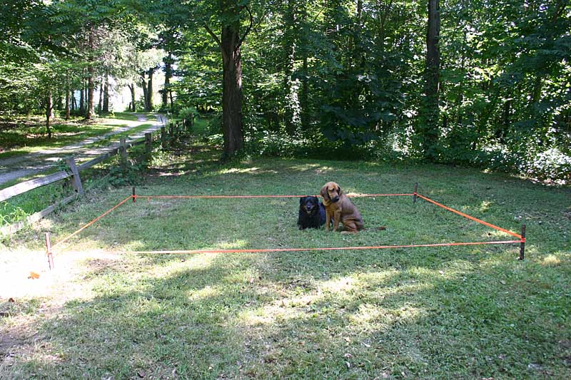 Surveying the size of the Foundation